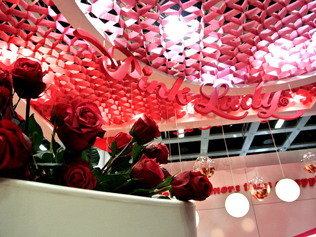 PCI_HONEYCOMB_CEILING_2012_PINKLADY